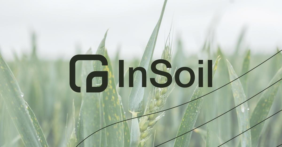 Avis InSoil 2025 : Analyse Complète d'une Plateforme Notée 85/100