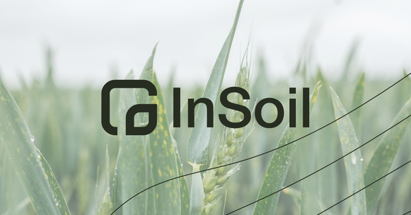 Avis InSoil 2025 : Analyse Complète d'une Plateforme Notée 85/100
